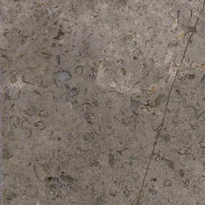 Granite Grey Galaxy: Polished slab featuring a unique blend of grey tones and fossilized shell inclusions.