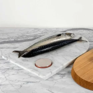 Marble cutting board with two fresh mackerel fillets and a small metal disc.